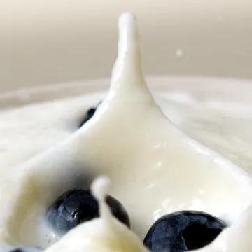 完成容器一例の画像